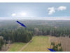 Traumhaft schöner Wald und Wiese