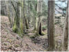 Idyllischer kleiner Bach