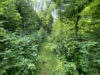 Genießen Sie hier die Natur in vollen Zügen