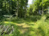Der Traum vom eigenen Wald direkt bei Landsberg