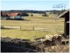 Traumhafter Ortsrandblick