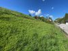 Schöne Hanglage