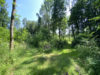Hier schlagen Herzen von Naturliebhabern höher